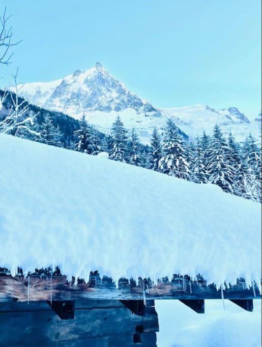Le Chalet Georges Chamonix Mont Blanc Exterior foto